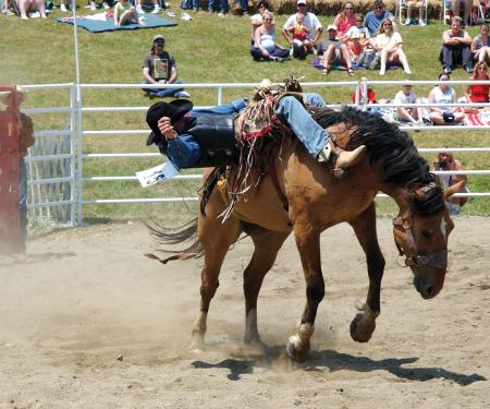 Bucked off at the Ellicottville Rodeo